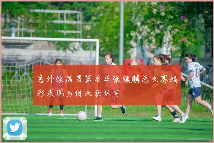 意外缺席男篮名单张镇麟总决赛精彩表现为何未获认可