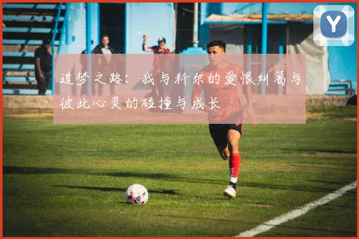 追梦之路：我与科尔的爱恨纠葛与彼此心灵的碰撞与成长